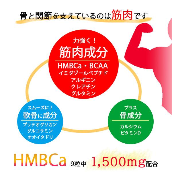 送料無料 アミノネクストHMB 180粒 3個セット BCAA 筋肉 筋肉減少 バリン ロイシン イソロイシン イミダゾールペプチド プリテオグリカン オオイタドリ 軟骨_3