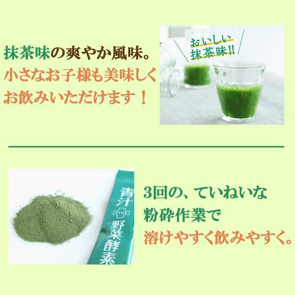 プライム青汁野菜酵素108 90包 2個セット リコピン カシス 青汁 酵素 国産 明日葉 ケール 粉末 桑の葉 野菜酵素 野菜不足 腸内環境 あすつく_10