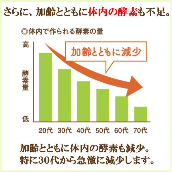 プライム青汁野菜酵素108 90包 2個セット リコピン カシス 青汁 酵素 国産 明日葉 ケール 粉末 桑の葉 野菜酵素 野菜不足 腸内環境 あすつく_4