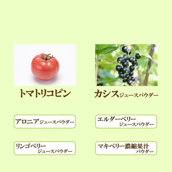 プライム青汁野菜酵素108 90包 2個セット リコピン カシス 青汁 酵素 国産 明日葉 ケール 粉末 桑の葉 野菜酵素 野菜不足 腸内環境 あすつく_7