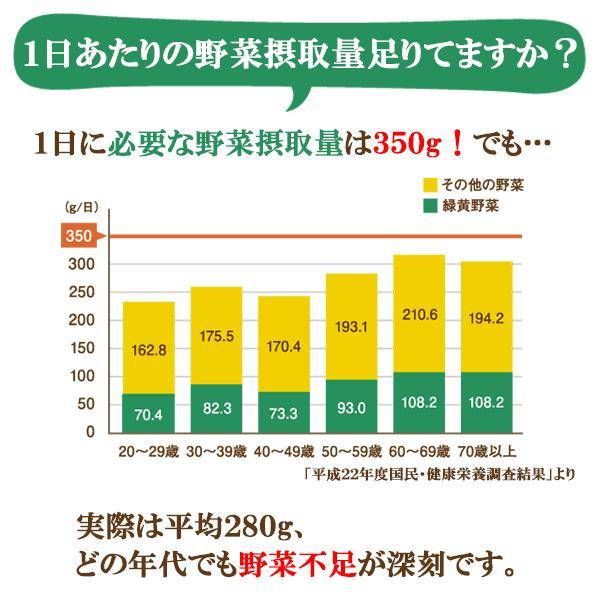 プライム青汁野菜酵素108 90包 3個セット リコピン カシス 青汁 酵素 国産 明日葉 ケール 粉末 桑の葉 野菜酵素 野菜不足 腸内環境 あすつく｜wakanyaku｜04