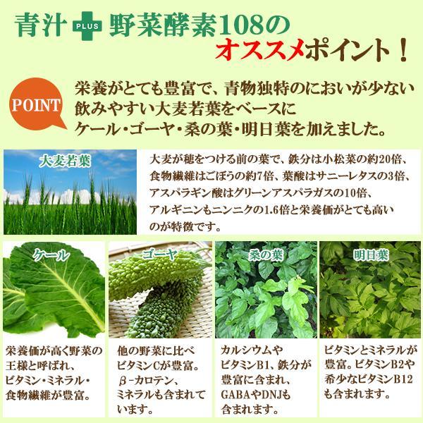 プライム青汁野菜酵素108 90包 6個セット リコピン カシス 青汁 酵素 国産 明日葉 ケール 粉末 桑の葉 野菜酵素 野菜不足 腸内環境 あすつく｜wakanyaku｜07