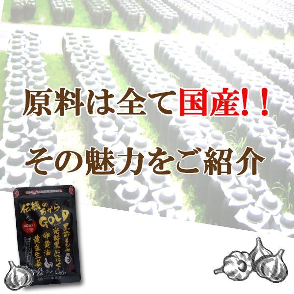 送料無料 伝統のちからGOLD 40粒 3個セット 黒にんにく 黒にんにく卵黄 卵黄油 健康 サプリ epa dha カルシウム 黒酢 しょうが 黄金しょうが｜wakanyaku｜03