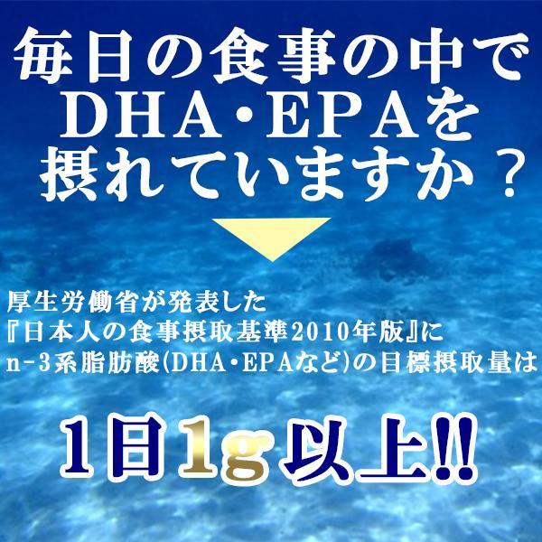 DHA+EPA+DPA+イチョウ葉エキス 40粒 12個セット イチョウ葉 サプリ ビタミンe タブレット 健康食品 健康サプリ フィッシュオイル｜wakanyaku｜03