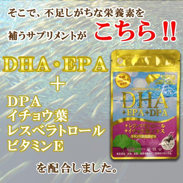 DHA+EPA+DPA+イチョウ葉エキス 40粒 2個セット イチョウ葉 サプリ ビタミンe タブレット 健康食品 健康サプリ フィッシュオイル｜wakanyaku｜09