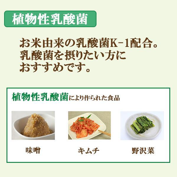 送料無料 植物発酵288 60粒 12個セット フルーツ 植物発酵エキス 植物性乳酸菌 アマニ油 酵素 サプリ オメガ3 サプリメント 健康食品 アマニオイル｜wakanyaku｜05