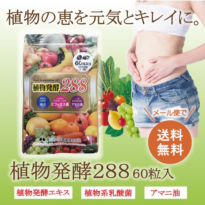富山めぐみ製薬 植物発酵288 60粒 フルーツ 植物発酵 植物性 乳酸菌