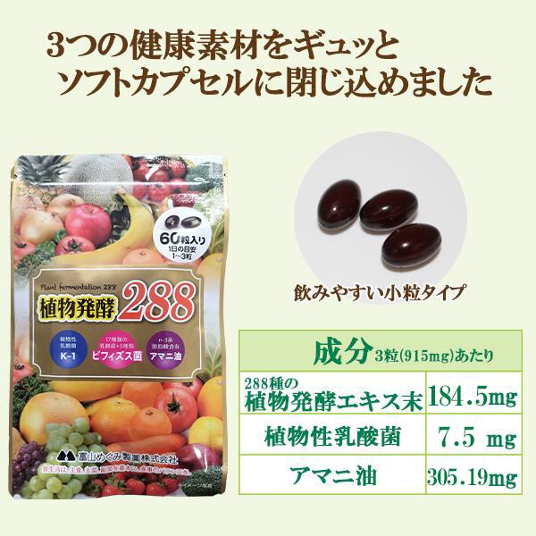富山めぐみ製薬 植物発酵288 60粒 フルーツ 植物発酵 植物性 乳酸菌