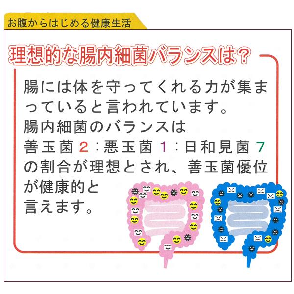 あすつく 送料無料 乳酸菌グランドゼリーα 30包 3個セット 広栄ケミカル 乳酸菌 人由来 ラクトフェリン ビタミン 食物繊維 低カロリー 腸内環境｜wakanyaku｜04