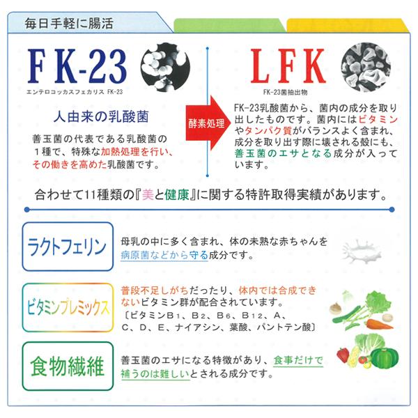 あすつく 送料無料 乳酸菌グランドゼリーα 30包 3個セット 広栄ケミカル 乳酸菌 人由来 ラクトフェリン ビタミン 食物繊維 低カロリー 腸内環境｜wakanyaku｜06