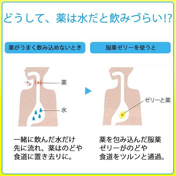 らくらく服薬ゼリー 龍角散  200g 120個セット 服薬ゼリー 粉薬 ノンシュガー くすり 2025.3期限 あすつく 栄養補助食品 介護食 ゼリー 嚥下食 高齢者｜wakanyaku｜05