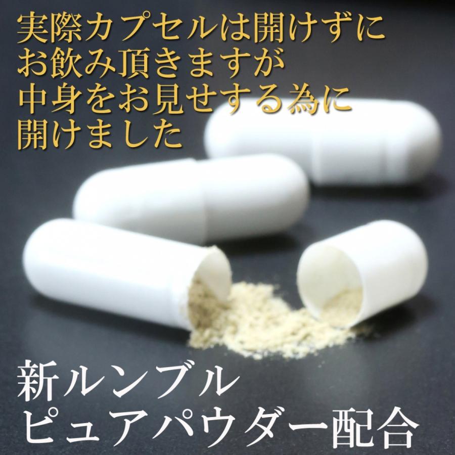 龍心ゴールドSP徳用3個セット◇新ミミズ乾燥粉末「HLP」＆田七人参 