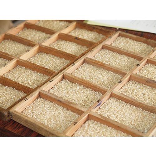 玄米30kg】令和6年 福井県産 あきさかり 若狭の恵 : 恵マルシェ - 通販