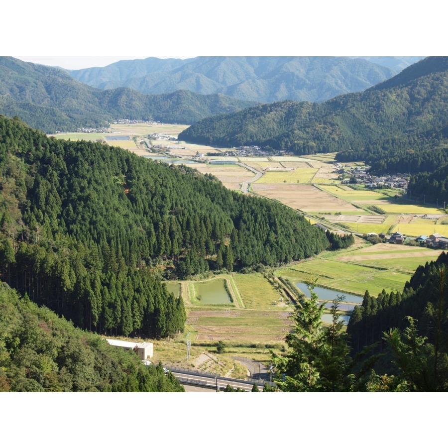 玄米30kg 令和6年福井県産 特別栽培米はなえちぜん 若狭の恵 : 恵