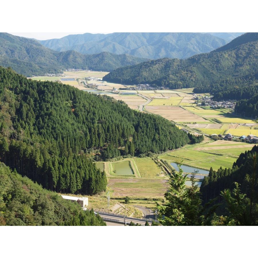 【白米5ｋｇ】令和6年　福井県産　あきさかり　 若狭の恵 |  | 03