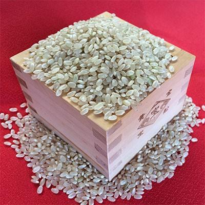 玄米30kg 令和6年福井県産 つきあかり 若狭の恵 : 恵マルシェ - 通販