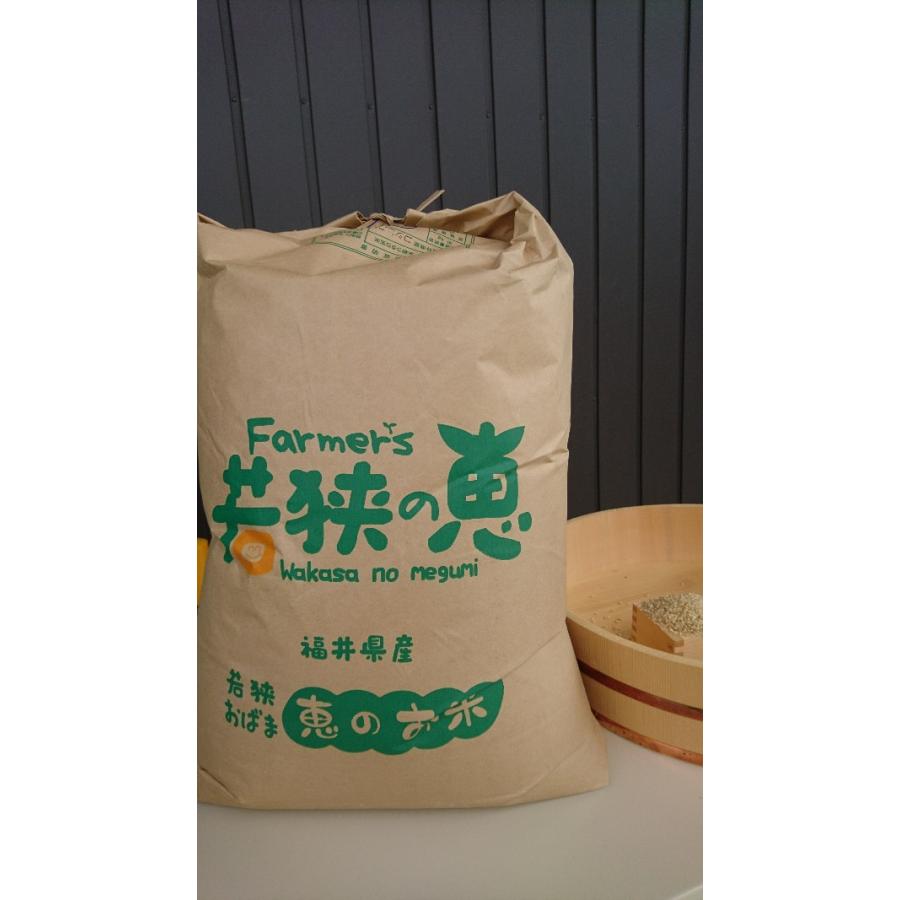 玄米30kg】令和6年 福井県産 特別栽培米ひまわり米 若狭の恵 : 恵