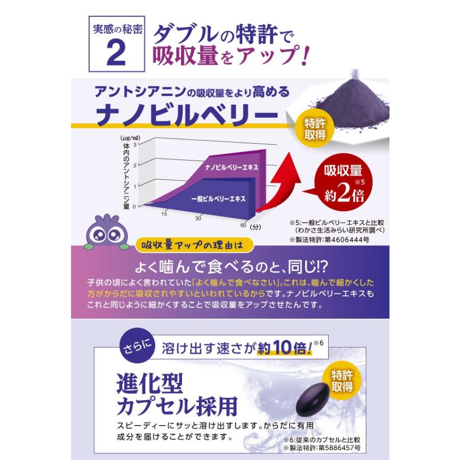 わかさ生活 【公式】わかさ生活 ブルーベリーアイ 31粒 ナノ わかさ生活 【公式】わかさ生活 ブルーベリーアイ 31粒 ナノ