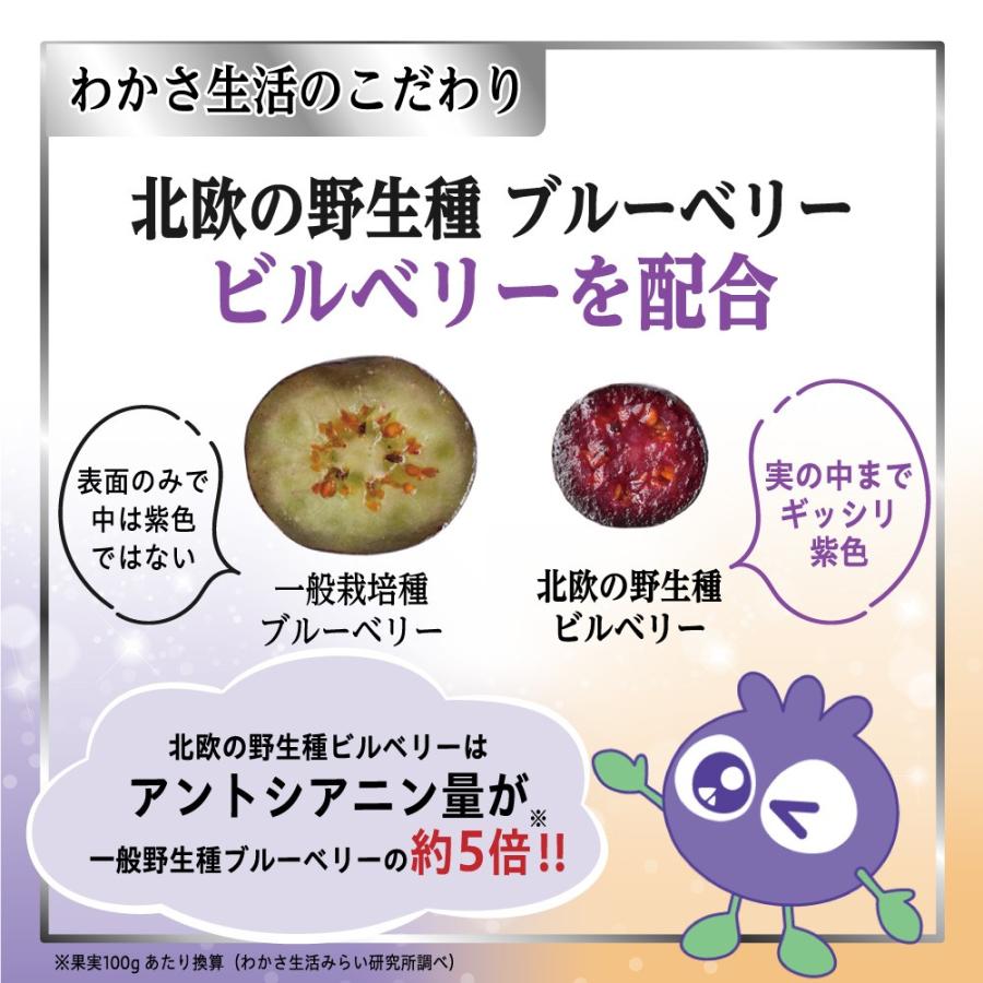 わかさ生活 【公式 わかさ生活】ブルーベリーアイ Wの効果 1袋31粒入り