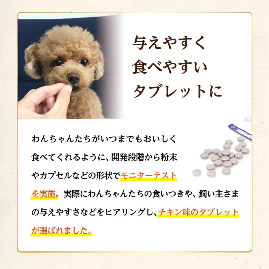 わんにゃブル ひとみサプリ 犬用 猫用 チキン味 1袋62粒入り