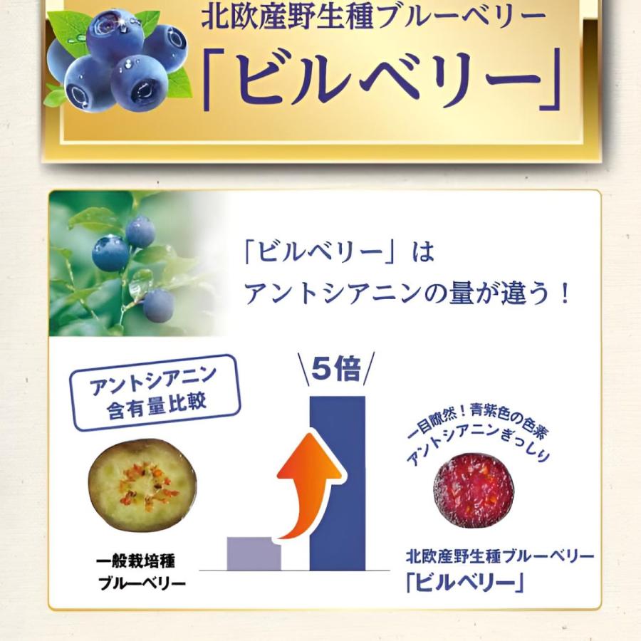 犬用わかさ生活　わんにゃブル わんにゃブル 【3袋セット】ひとみサプリ 犬用 猫用 チキン味 1