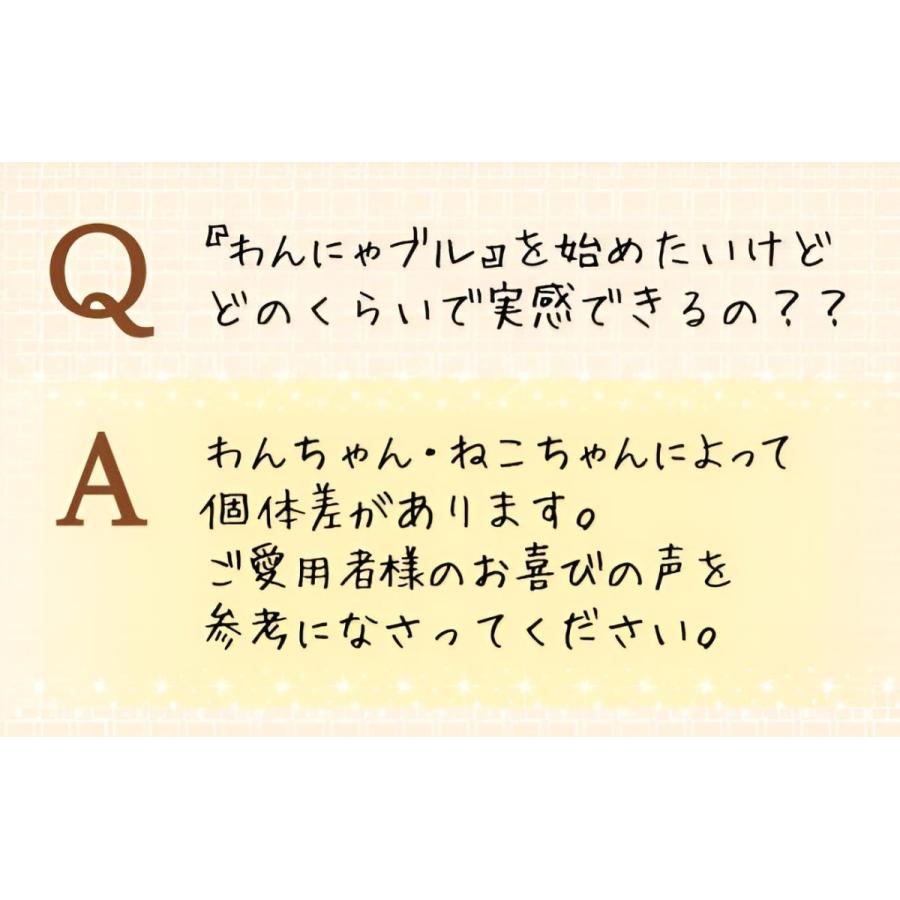 わんにゃブル 【3袋セット】ひとみサプリ 犬用 猫用 チキン味 1袋62粒
