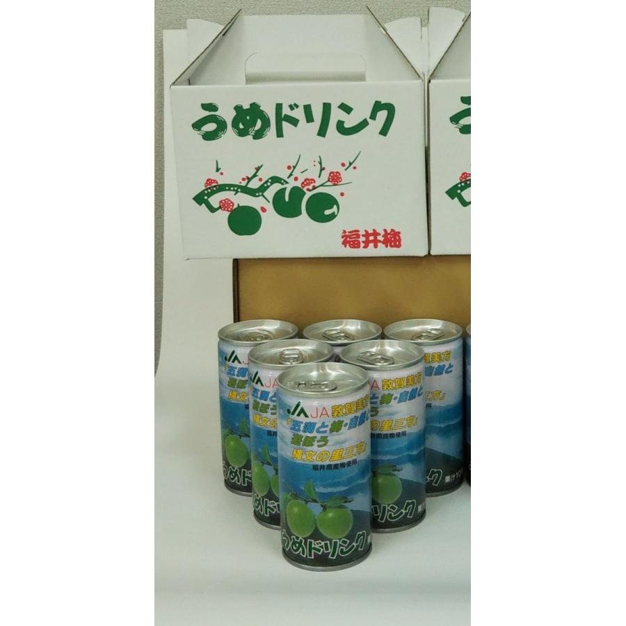 梅ドリンク 195g×6本 福井梅果汁使用 若狭 福井 三方五湖 福井梅 梅