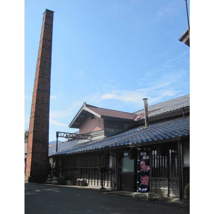 鳥濱（大吟醸）720ml 鳥浜酒造 若狭 福井 : たいしたもん屋・若狭物産