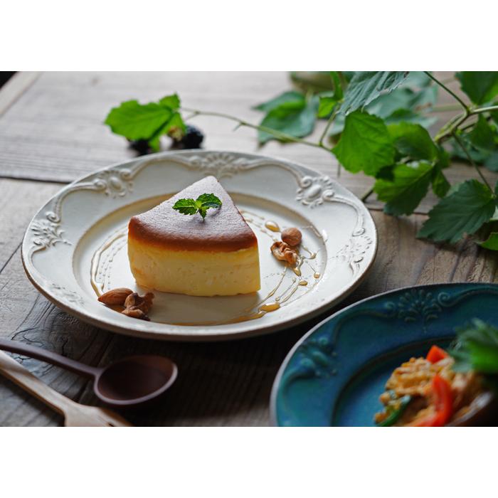 益子焼 SSDDシリーズ 【アンティーク/kinari】わかさま陶芸 中皿