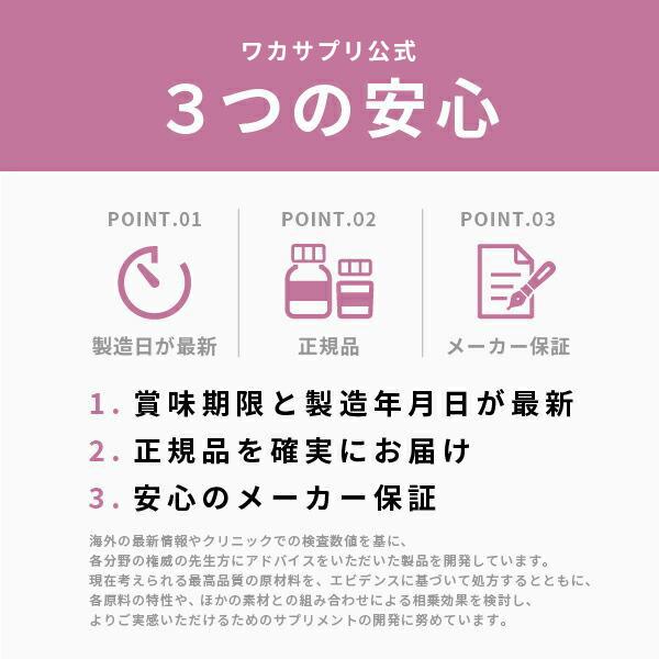 ワカサプリ 公式 葉酸＆オメガ-3 サプリ サプリメント 葉酸 オメガ3