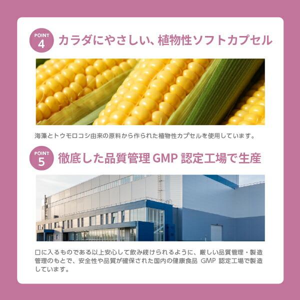 ワカサプリ 公式 葉酸＆オメガ-3 サプリ サプリメント 葉酸 オメガ3