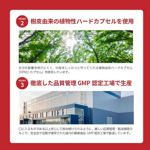 ワカサプリ 公式 亜鉛＆銅 2個セット サプリ サプリメント 亜鉛 銅