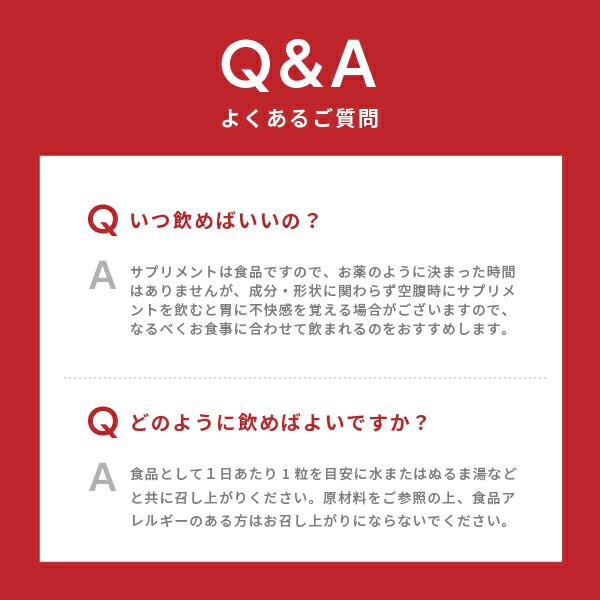 ワカサプリ 公式 亜鉛＆銅 2個セット サプリ サプリメント 亜鉛 銅