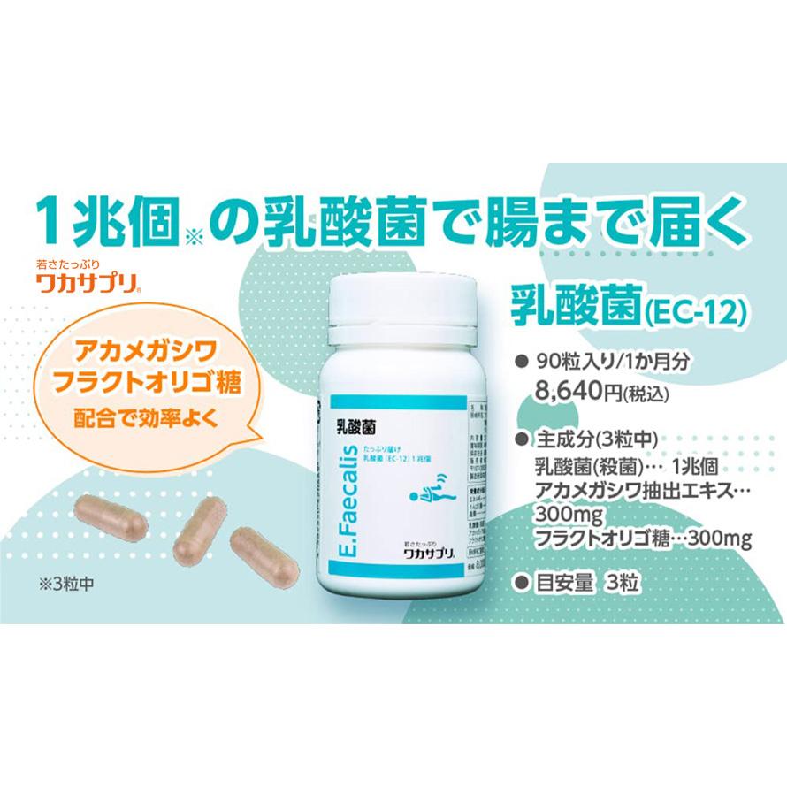 ワカサプリ 5のつく日限定/P5% 公式 乳酸菌 90粒 サプリ サプリメント 