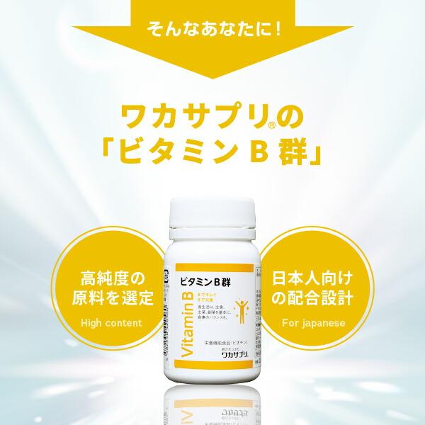 ワカサプリ　ビタミンB群+亜鉛　各3本セット ワカサプリ 公式 ビタミンB群 3個セット サプリ サプリメント