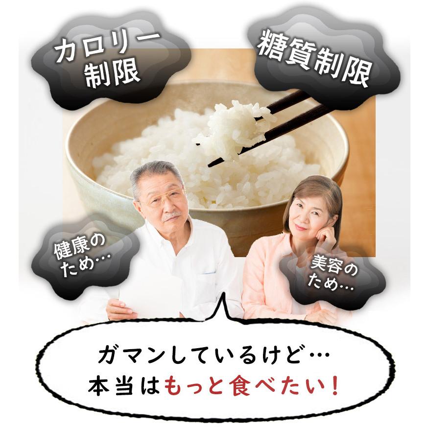 乾燥こんにゃく米 【60g×15袋セット】無農薬 こんにゃくご飯 ライス