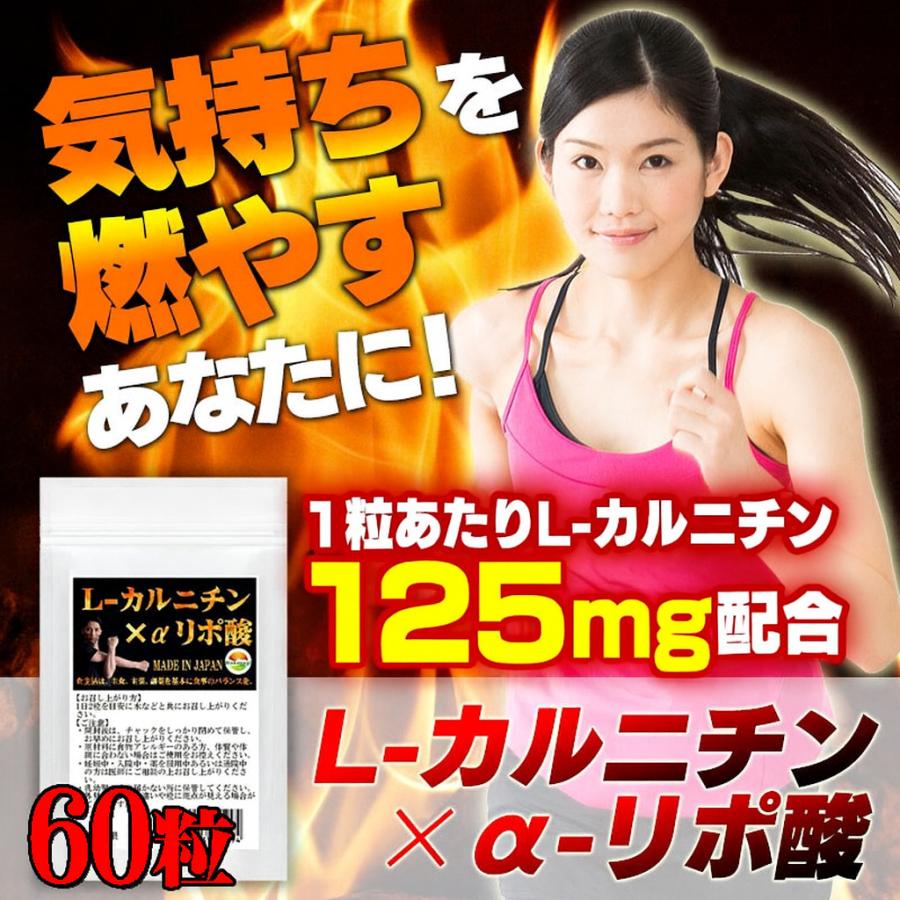 L-カルニチン αリポ酸 サプリ 4袋セット計240粒 約4か月分 燃焼系