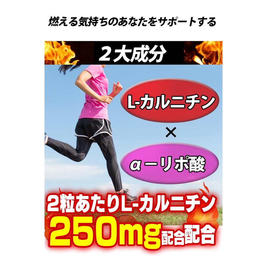L-カルニチン αリポ酸 サプリ 4袋セット計240粒 約4か月分 燃焼系