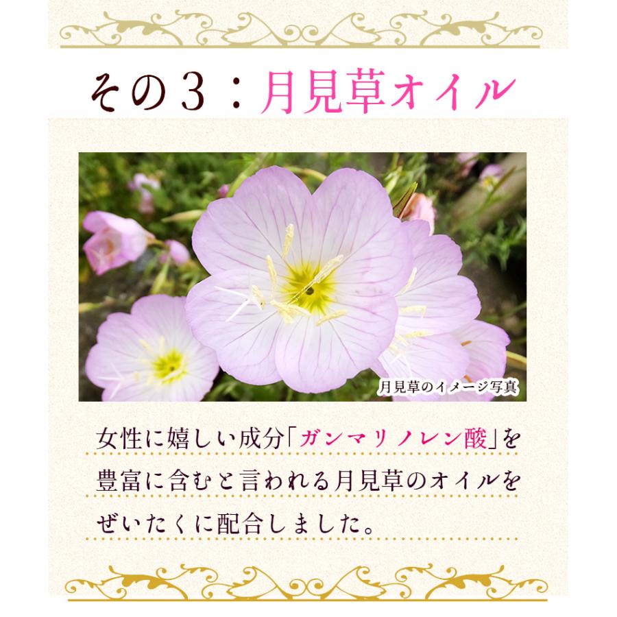 桜吐息30粒　約1ヶ月分　NEWフレグランスサプリ誕生　桜ベースのローズサプリメント　桜と薔薇の相性抜群　さらに月見草を配合 爆買 |  | 11