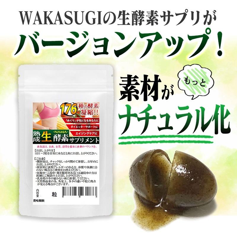 ナチュラル化 熟成 生酵素 1袋30粒 約1ヵ月分 合計176種類 野草酵素