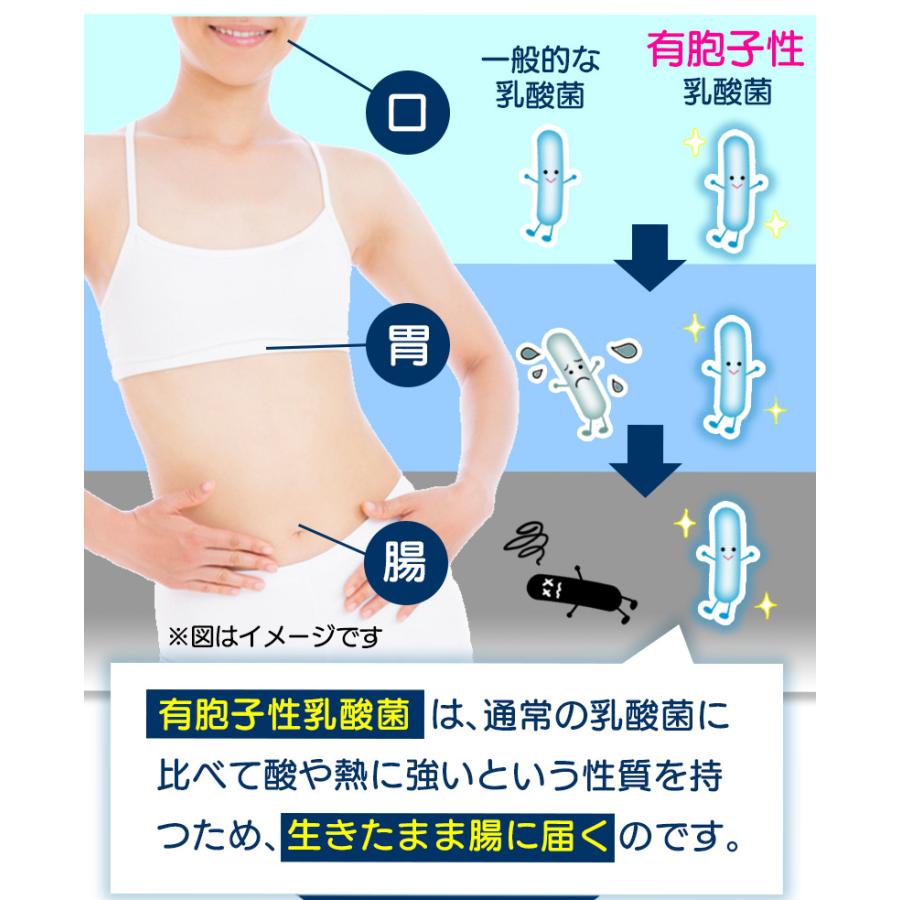 腸まで届く有胞子性乳酸菌青汁酵素タブレット 5袋セット計300粒 約5