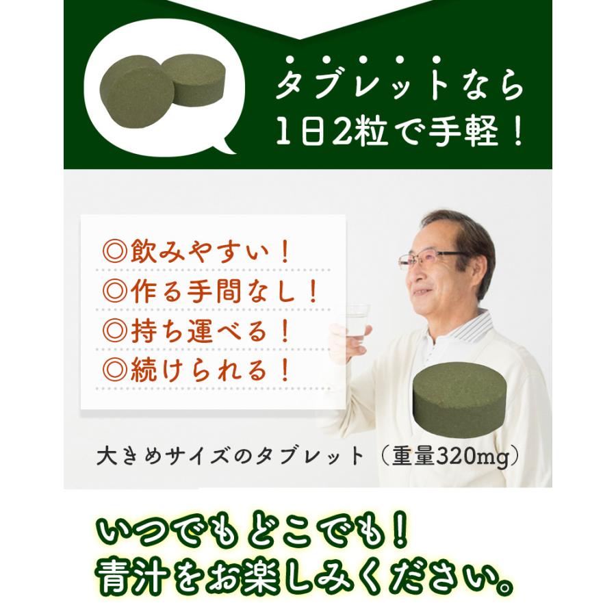 業務用 乳酸菌青汁タプレット 360粒 約6ヶ月分 腸まで届く有胞子性乳酸