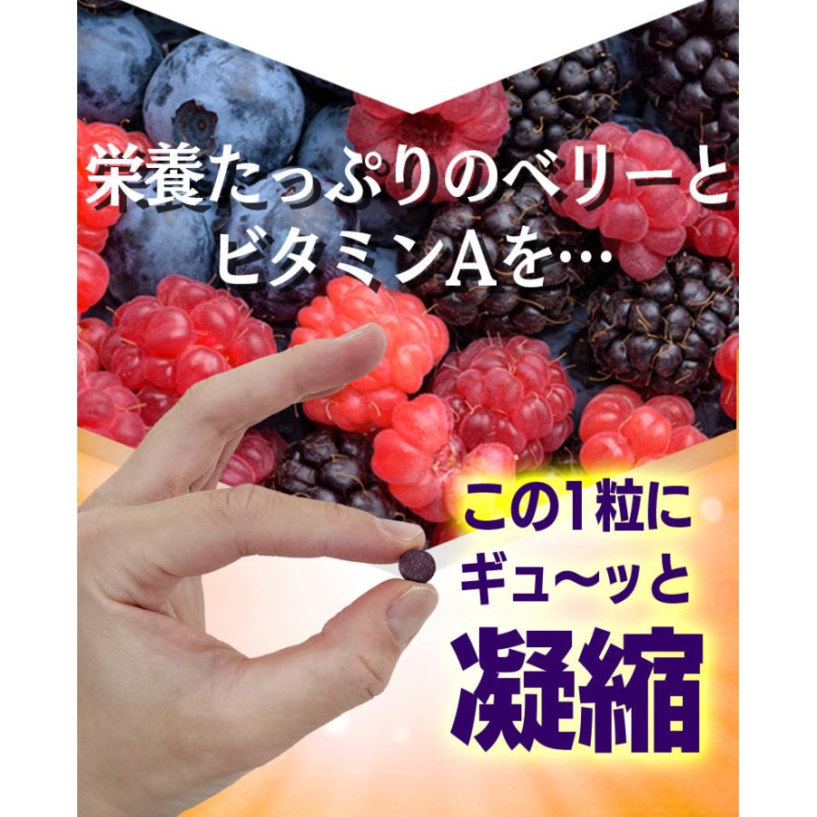 幸運の種 ビルベリー サプリ 濃ーいビルベリー粒 60粒 2袋セット 計120 