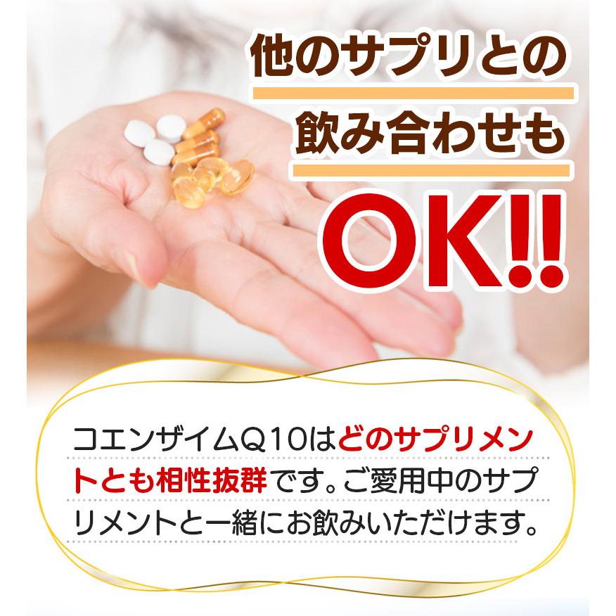 コエンザイムQ10 30粒 約1ヶ月分 日本製 WAKASUGI 爆買 : サプリメント