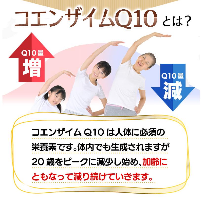 コエンザイムQ10 サプリ 60粒 3袋セット 計180粒 約3か月分 2粒あたり