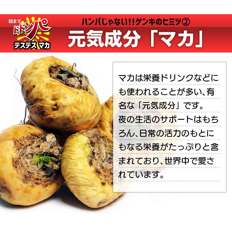 マカ サプリメント 朝までドドンパ 90粒 約1か月分 豚の睾丸 赤マムシ サソリ アリ ウコン エラブ海蛇 スッポン トナカイ幼角 爆買い新作 オットセイ