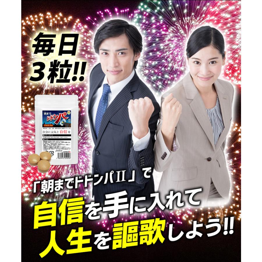 New 朝までドドンパ 90粒 約1か月分 テステス豚の睾丸 マカを主 New 朝までドドンパ 90粒 約1か月分 テステス豚の睾丸 マカを主