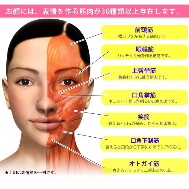 表情筋トレーナー フェイスリフトアップ マウスピース 口元