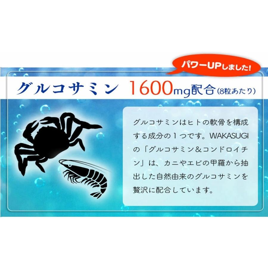 お徳用240粒 グルコサミン＆コンドロイチン+プロテオグリカン配合