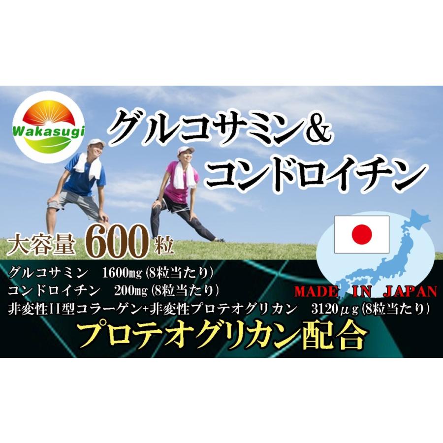 【送料無料】定価２袋25,920円 ２袋セット価格　グルコサミン　コンドロイチン　プリテオグリカン配合　サプリ お徳用240粒 グルコサミン＆コンドロイチン+プロテオグリカン配合